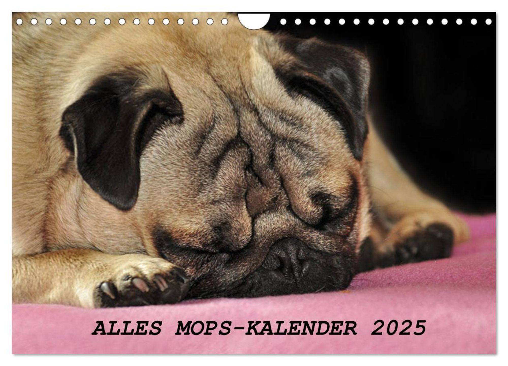 Alles Mops-Kalender 2025 (Wandkalender 2025 Din A4 Quer), Calvendo Monatskalender | Mops Kalender 2025