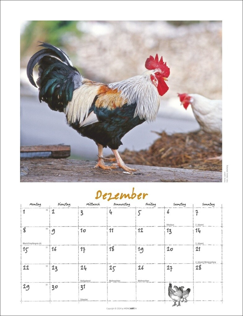 Der Hühnerkalender 2025 Bei Hugendubel.de. Online Bestellen Oder | Happy Huhn Kalender 2025