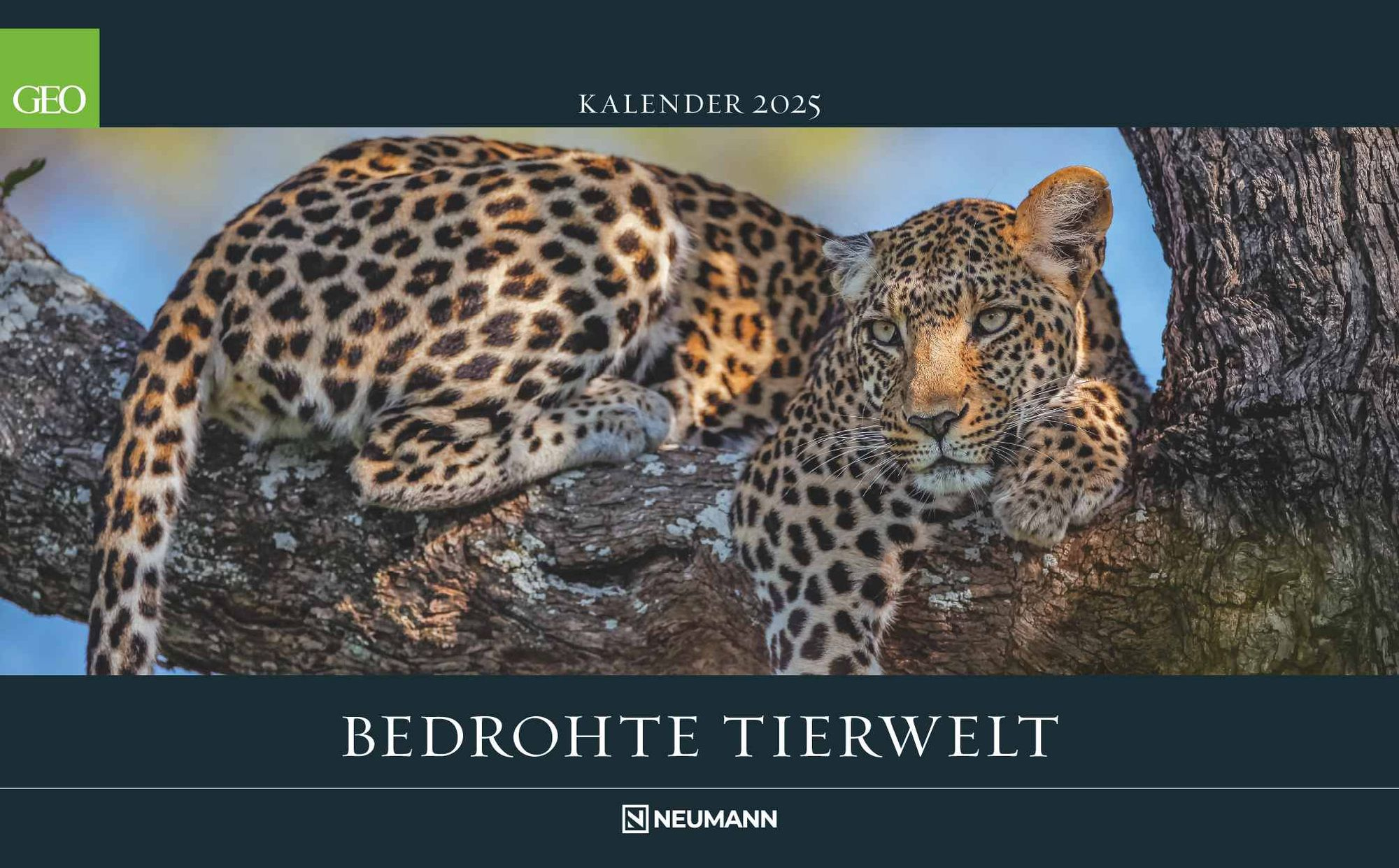 Geo Bedrohte Tierwelt 2025 - Wand-Kalender - Tier-Kalender - | Geo Kalender 2025