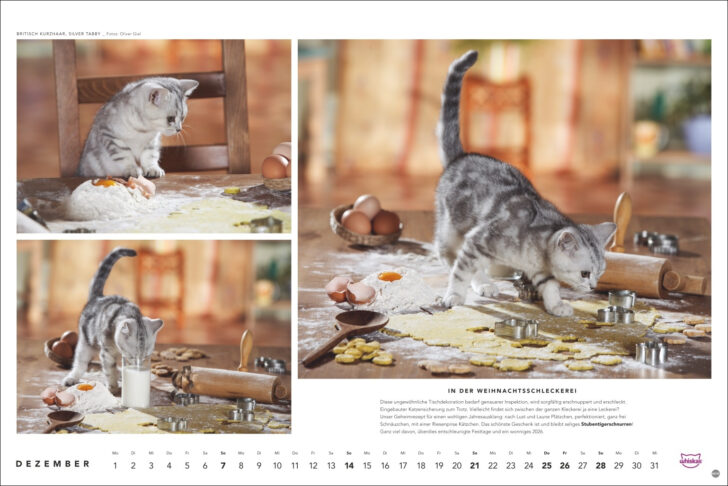 Whiskas Kalender 2025