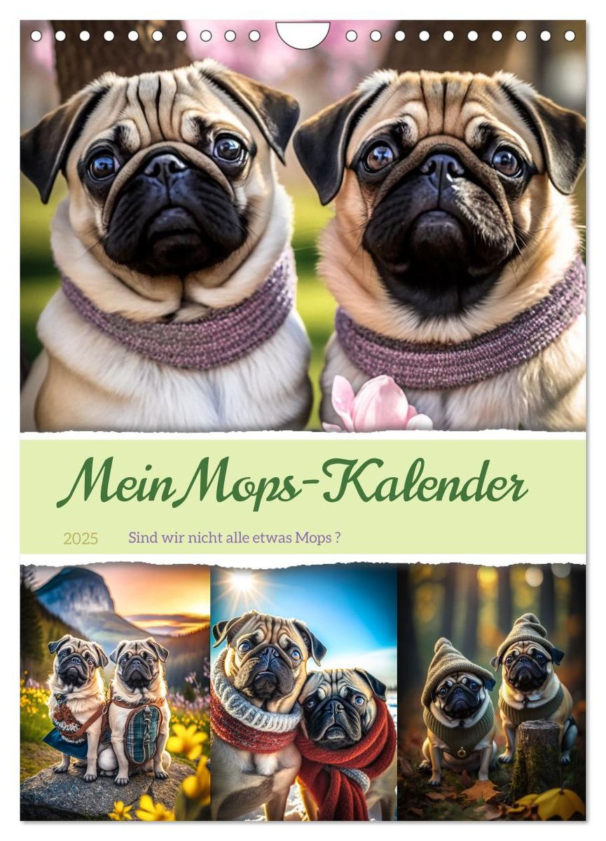 Mein Mops-Kalender (Wandkalender 2025 Din A4 Hoch), Calvendo Monatskalender - Wandkalender | Thalia | Mops Kalender 2025