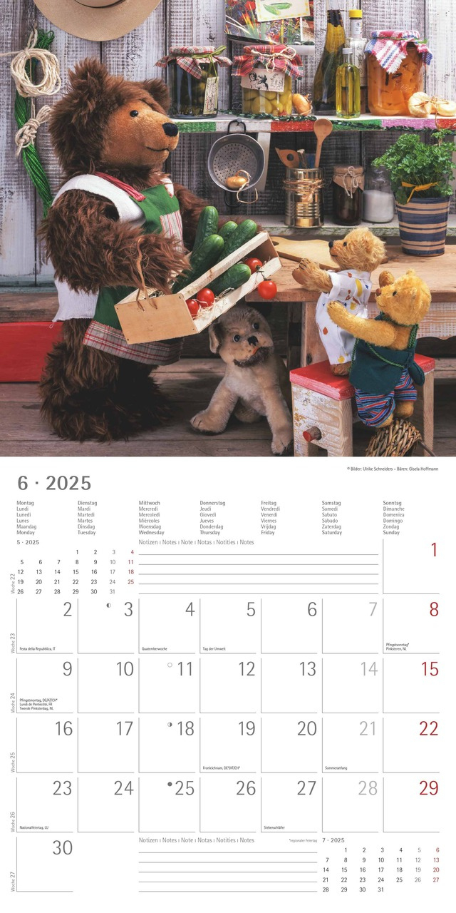 Teddy 2025 - Broschürenkalender 30X30 Cm (30X60 Geöffnet) - Kalender Mit Platz Für Notizen - Bildkalender - Wandkalender - Mit Herausnehmbarem Poster | Tedi Kalender 2025