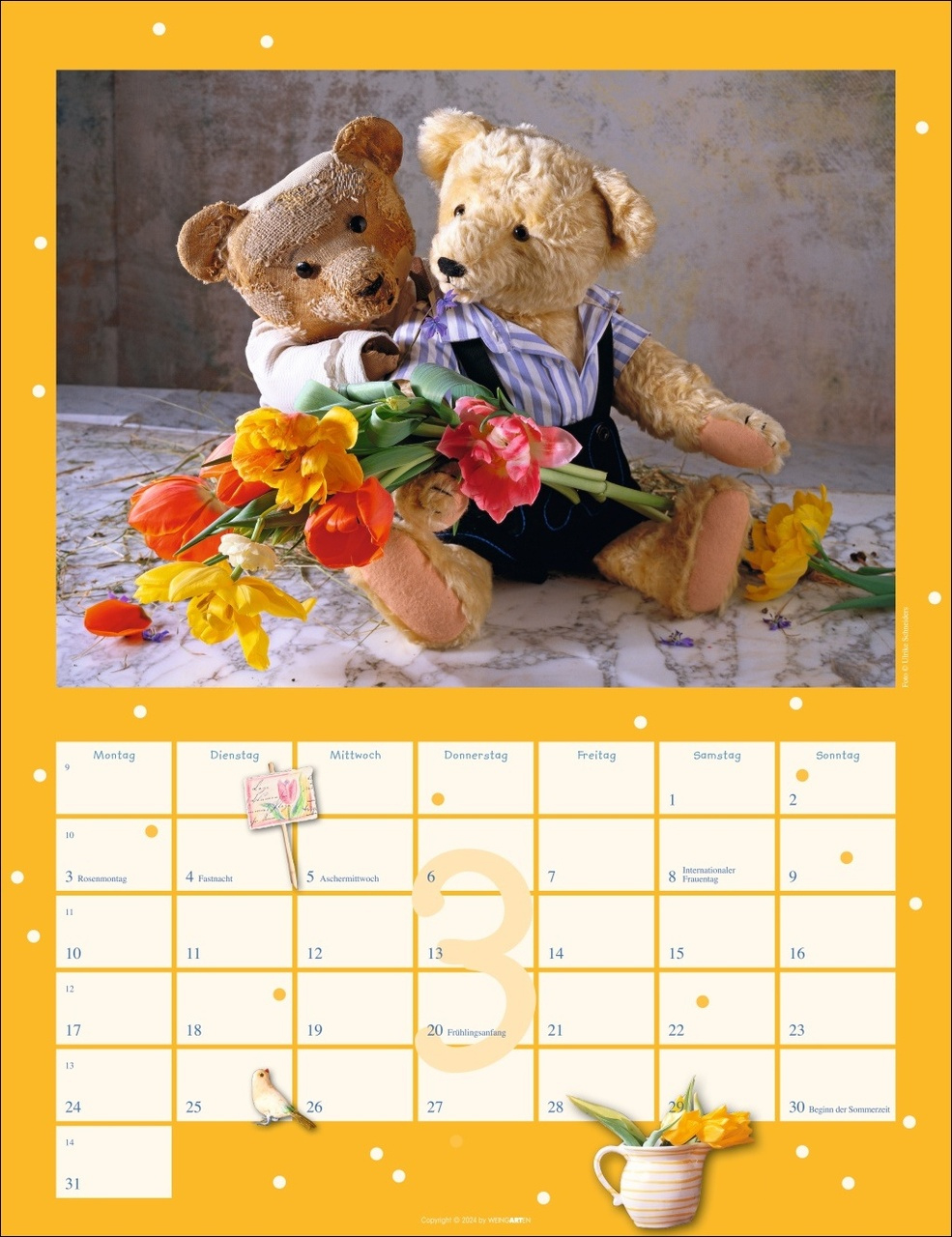 Teddybären Kalender 2025 (Spiralbindung) | Neue Impulse Verlag Gmbh | Teddy Kalender 2025