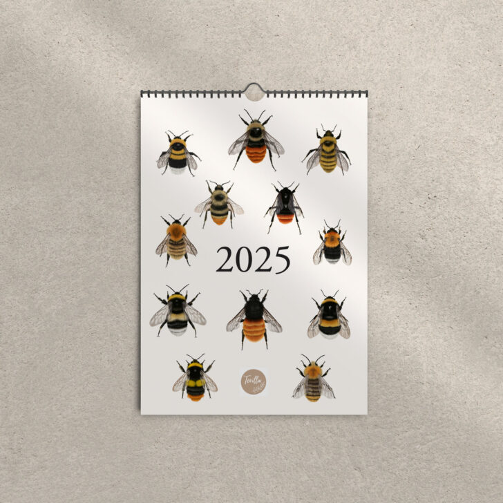 Hummel Kalender 2025