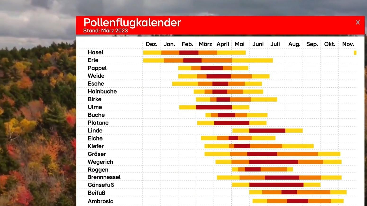 Allergien Und Heuschnupfen Verschärft Durch Klimawandel | Allergie Kalender Februar 2025