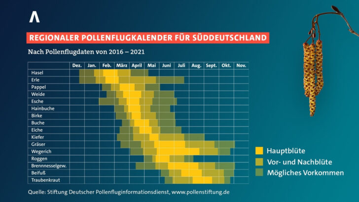 Allergie Kalender Februar 2025