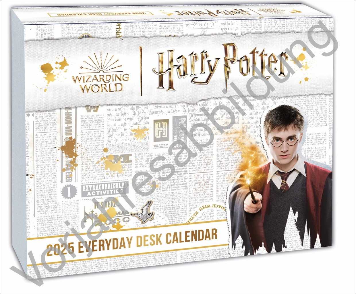 Kalender Harry Potter Tagesabreißkalender 2026 Online Kaufen | Harry Potter Kalender 2026
