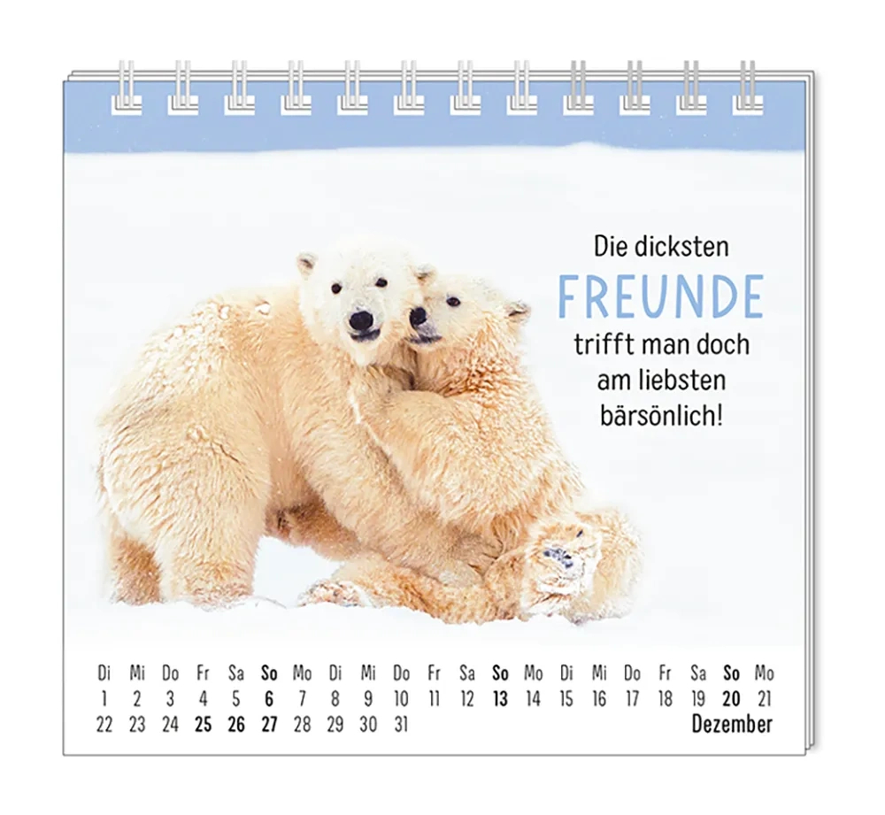 Mini Kalender &amp;quot;Happymacher&amp;quot; 2026 Von Grafik Werkstatt | Tatzino Kalender 2026