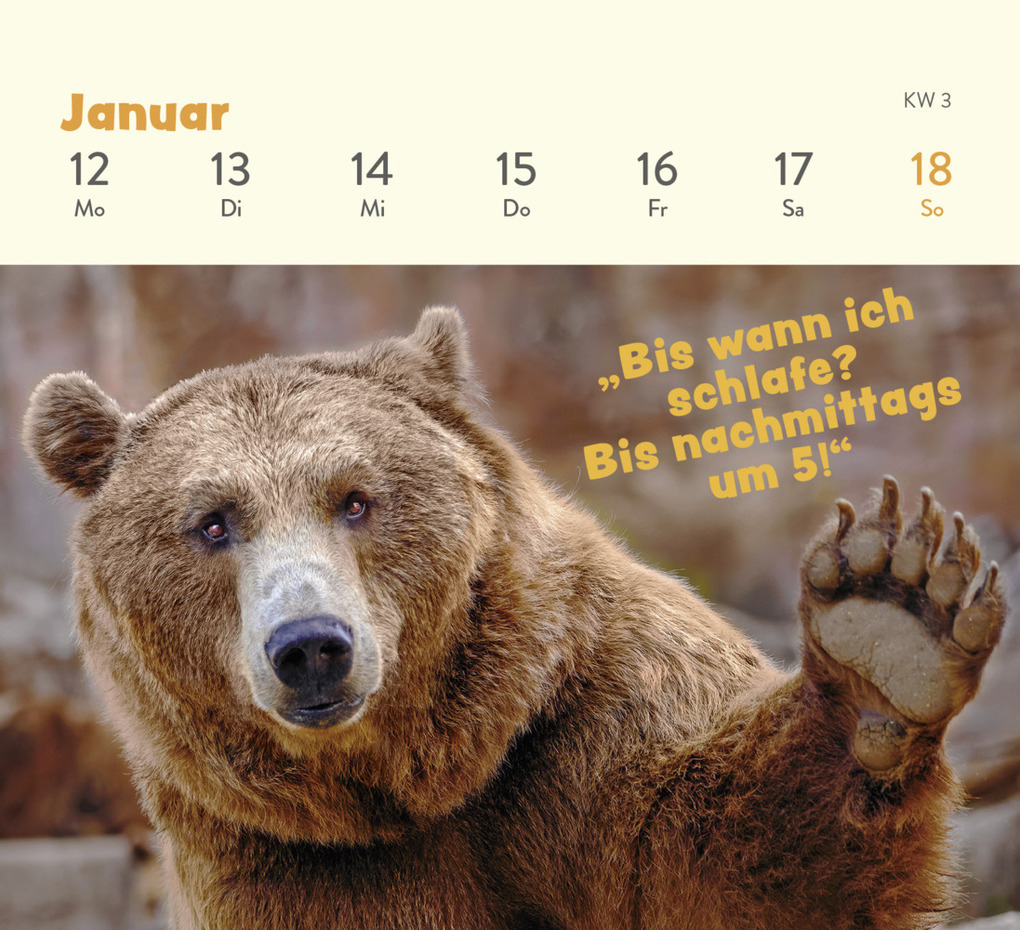 Mini-Wochenkalender 2026: Tierisch Gechillt! Kaufen | Tatzino Kalender 2026