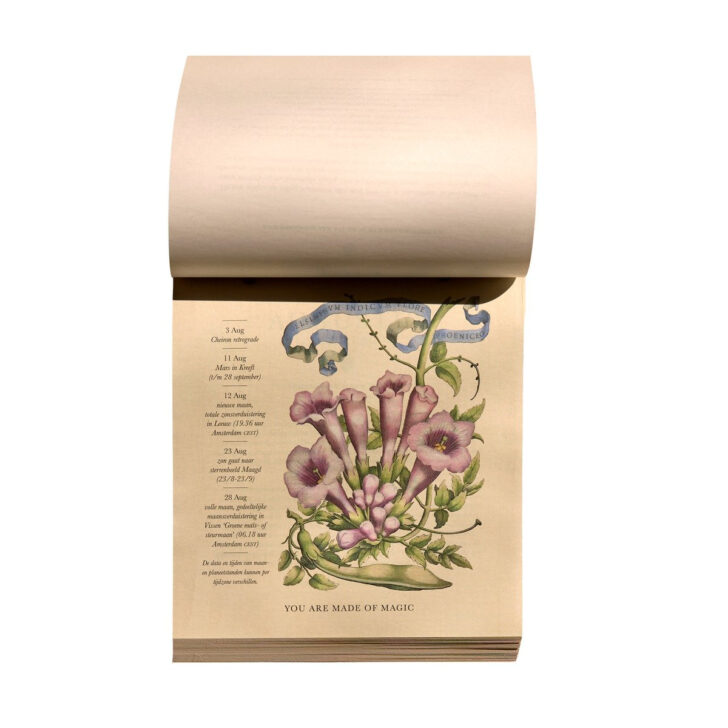 Moonsisters Kalender 2026