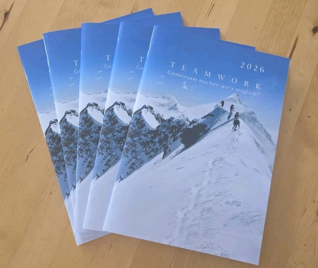 Teamwork Planer Online Kaufen | Ebay.de | Teamwork Kalender 2026