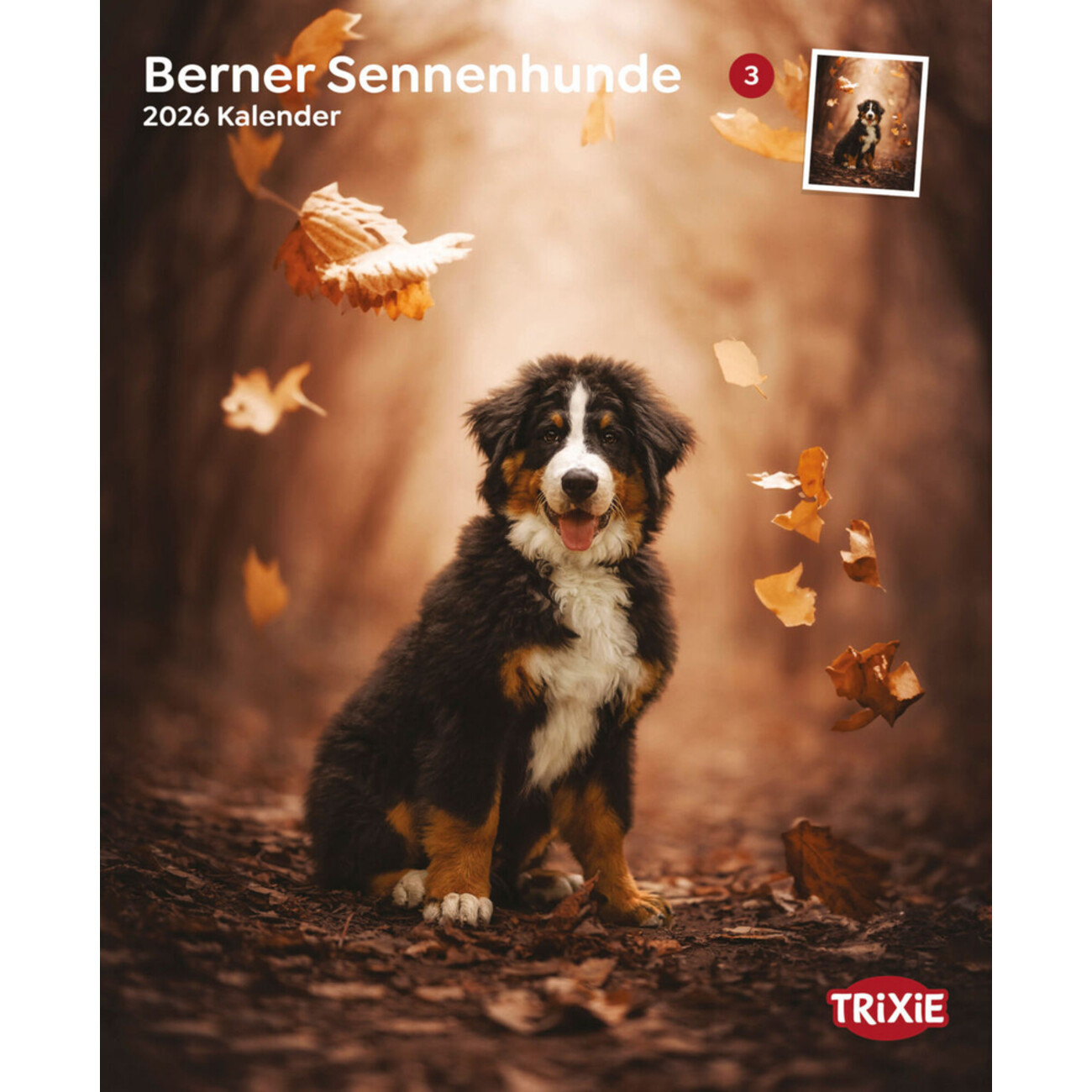 Trixie 2026 Kalender Berner Sennenhund 12549 | Trixie Kalender 2026