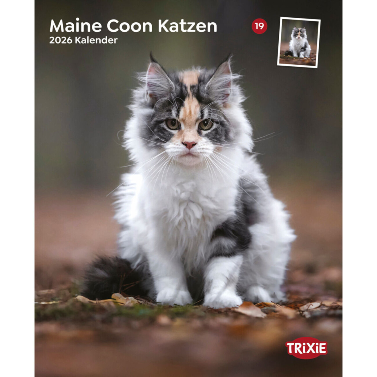 Trixie 2026 Kalender Maine Coon Katzen 12589 | Trixie Kalender 2026