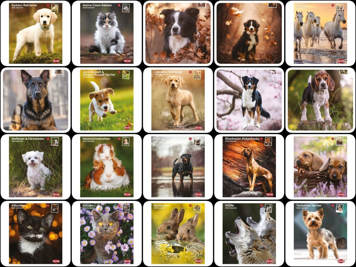 Trixie Kalender 2026 Hunde Katze Pferde Wölfe Welpen | Trixie Kalender 2026